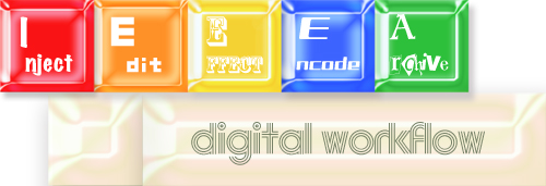 エムアイシー・アソシエーツデータストレージEXPO出展テーマ;digital worklflow（デジタルワークフロー）ロゴ